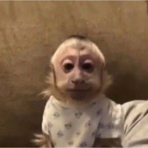 Meet your Posher, Rebeca